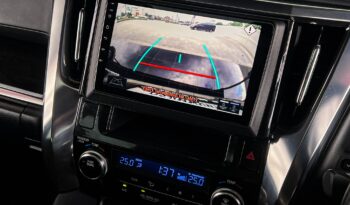 ALPHARD full