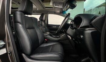 ALPHARD full