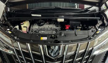 ALPHARD full