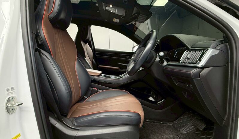 SEALION 6, 1.5 PREMIUM DM-i PLUG-IN HYBRID full