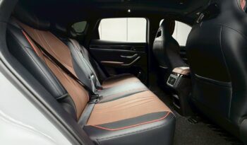 SEALION 6, 1.5 PREMIUM DM-i PLUG-IN HYBRID full